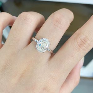 Z5557258347624 414f40b06f25bcde47a3d345850beb3a